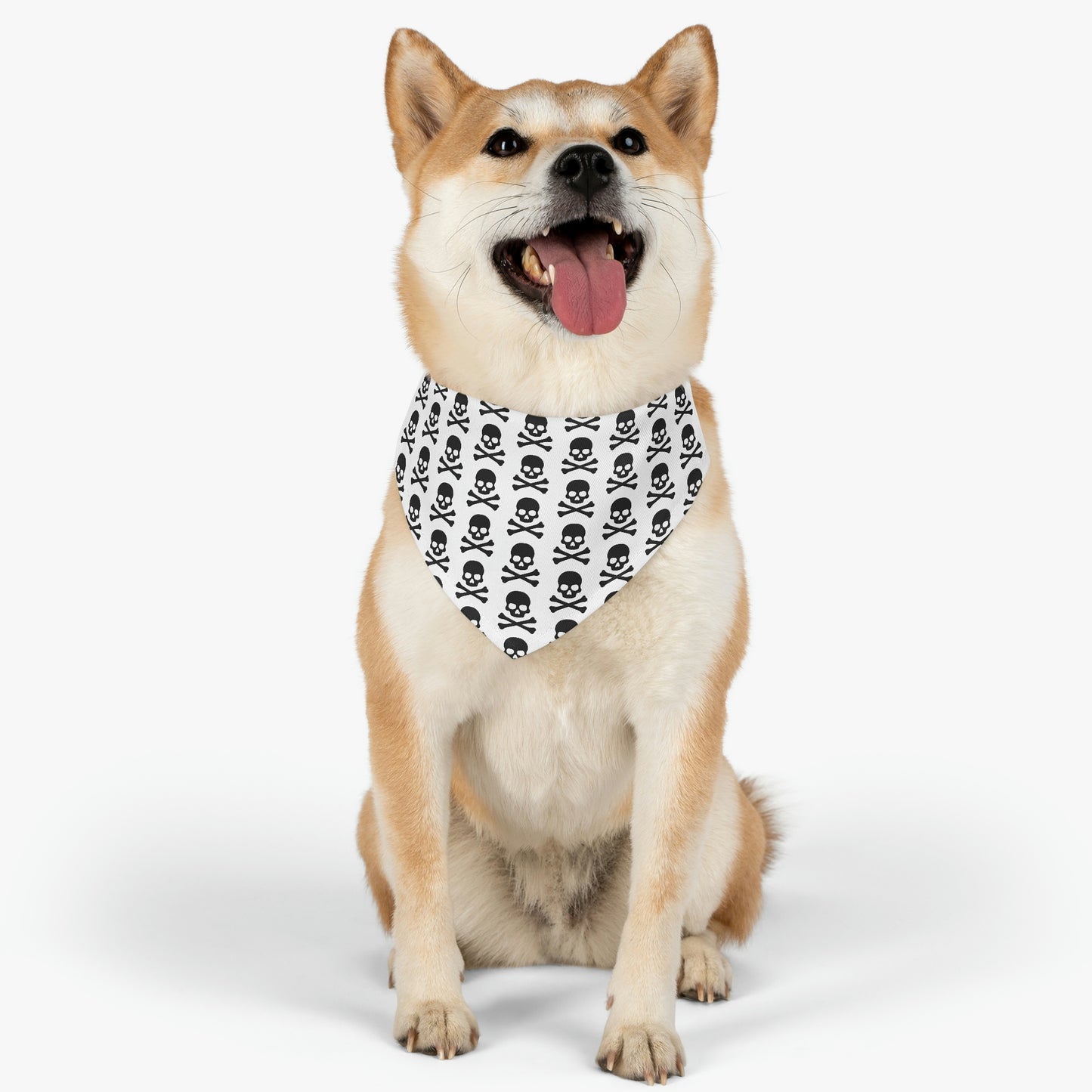 A dog with a bandana covered in Jolly Roger skulls
